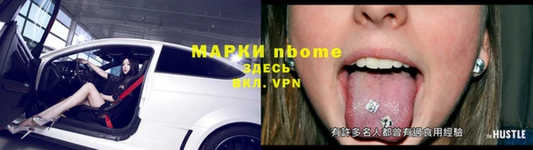 стафф Каменногорск