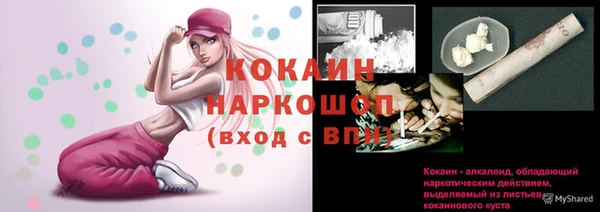 стафф Каменногорск