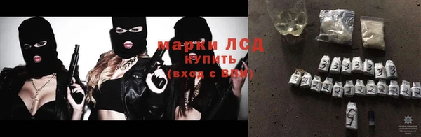 стафф Каменногорск