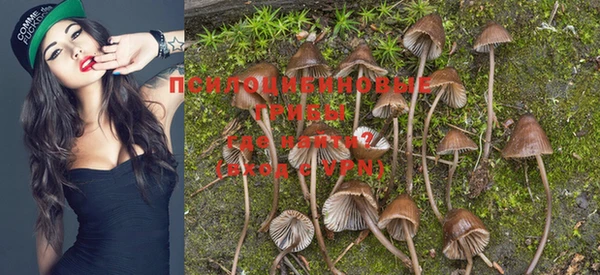 метамфетамин Каменка