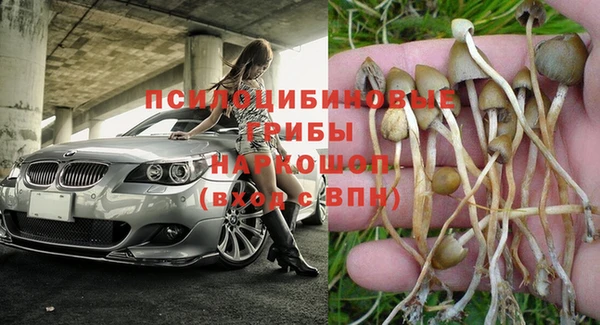спиды Великий Новгород