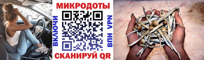 Галлюциногенные грибы GOLDEN TEACHER  hydra зеркало  Карталы 