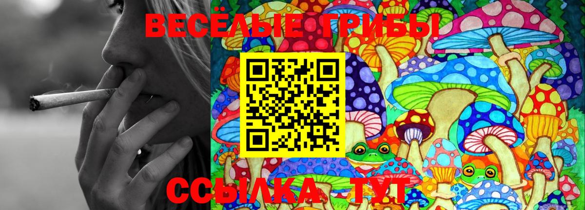Галлюциногенные грибы Cubensis  Вход с VPN  Псилоцибиновые грибы Psilocybe  Карталы 