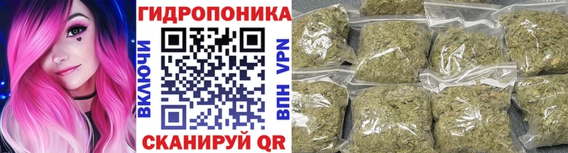 Шишки марихуана Amnesia  Карталы 